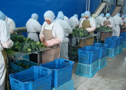 风淋室在冷冻蔬菜行业卓越食品的应用